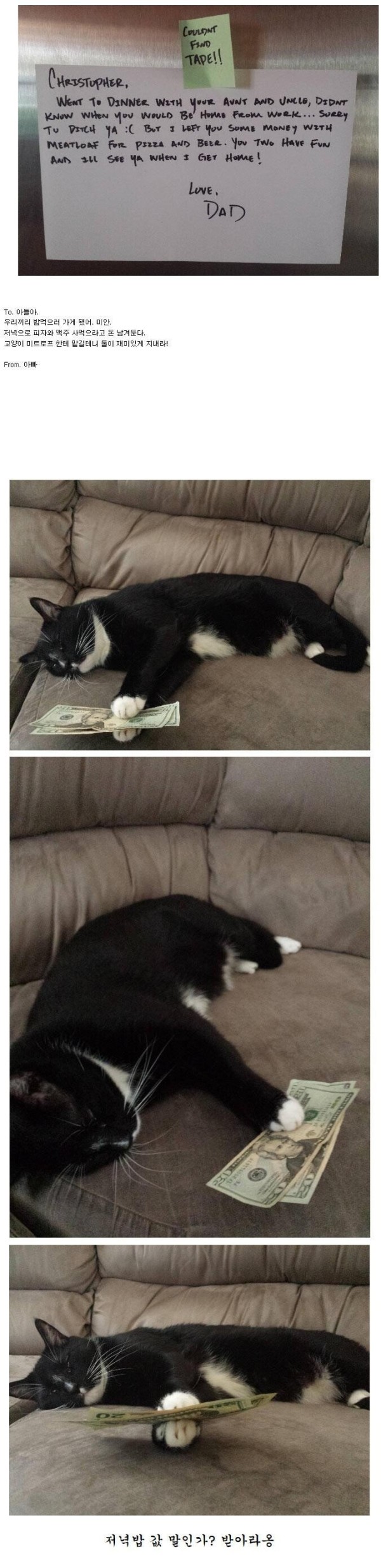 고양이에게 돈을 맡긴 아버지